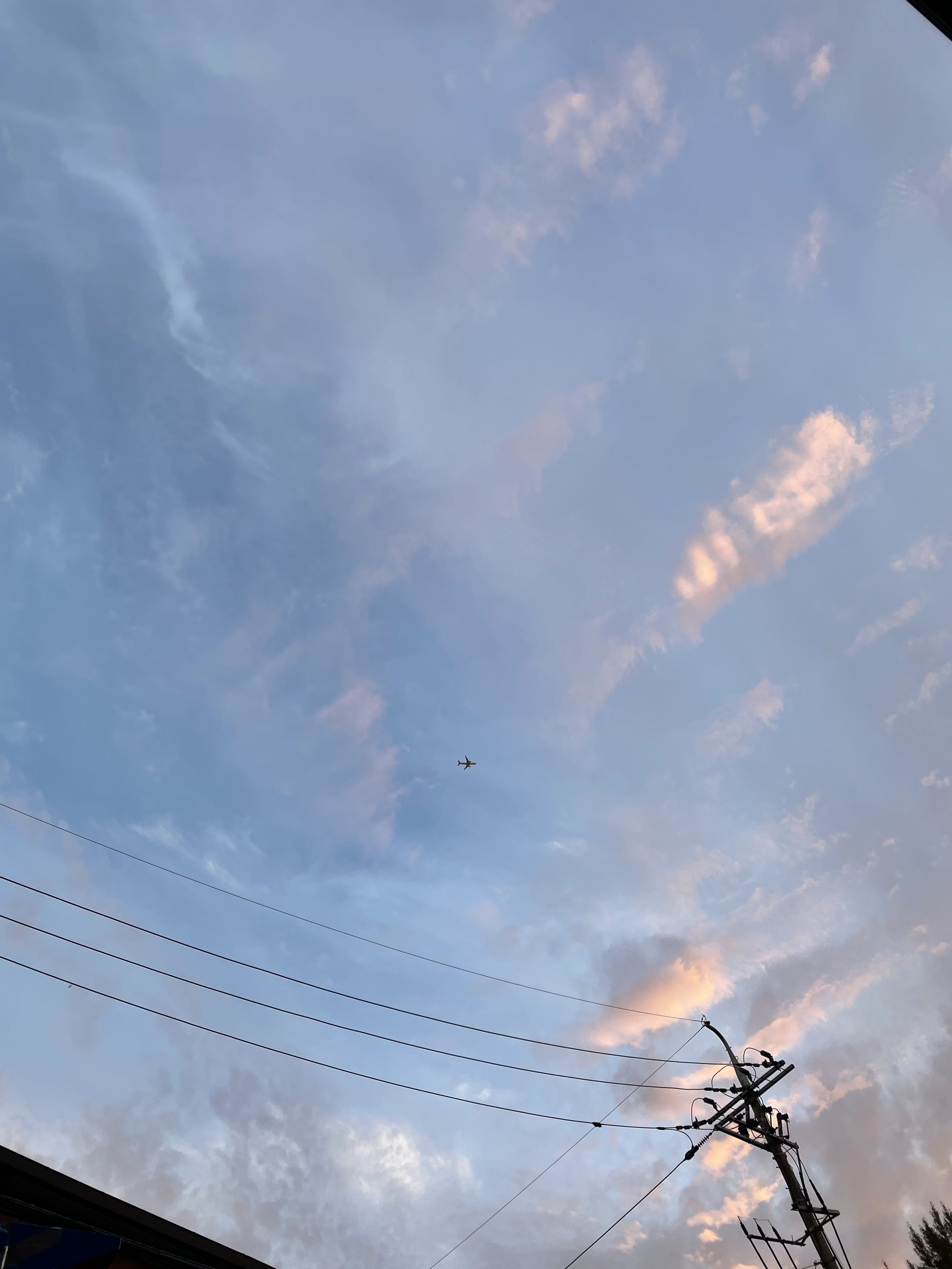 프로필사진