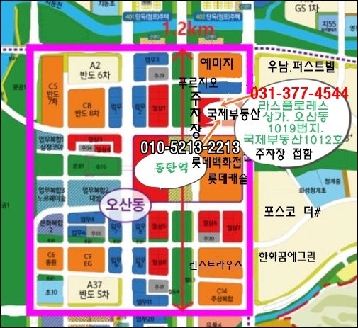 국제공인중개사(010-5213-2213,  동탄부동산, 울릉도부동산)