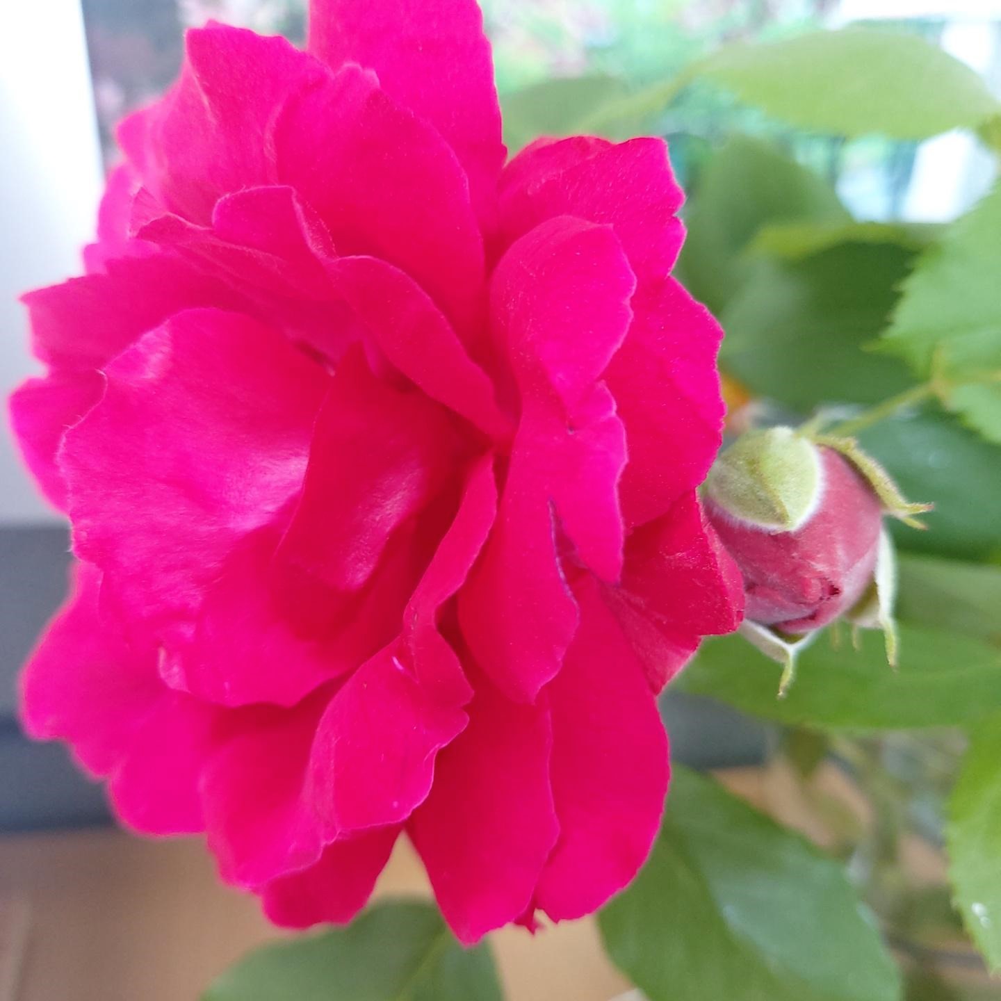 프로필사진