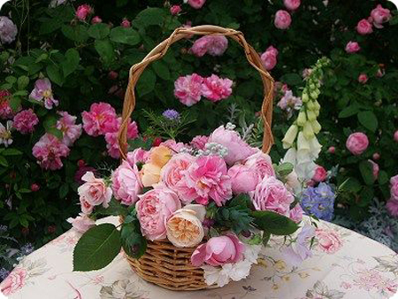 은모래 강가에서