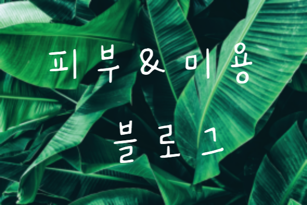 블로그 이미지