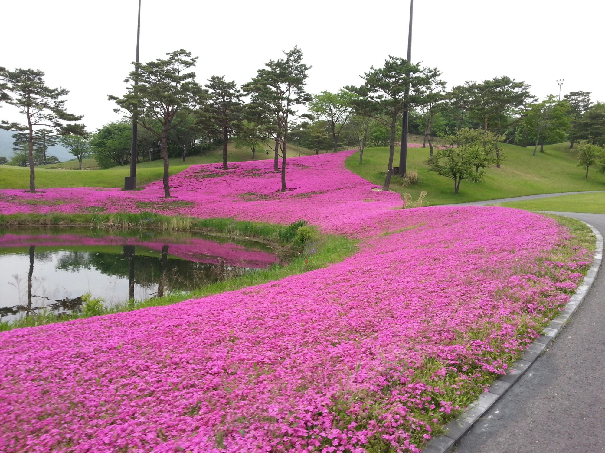 프로필사진