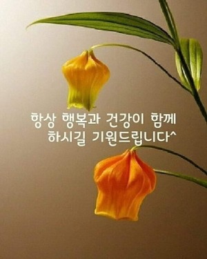 프로필사진