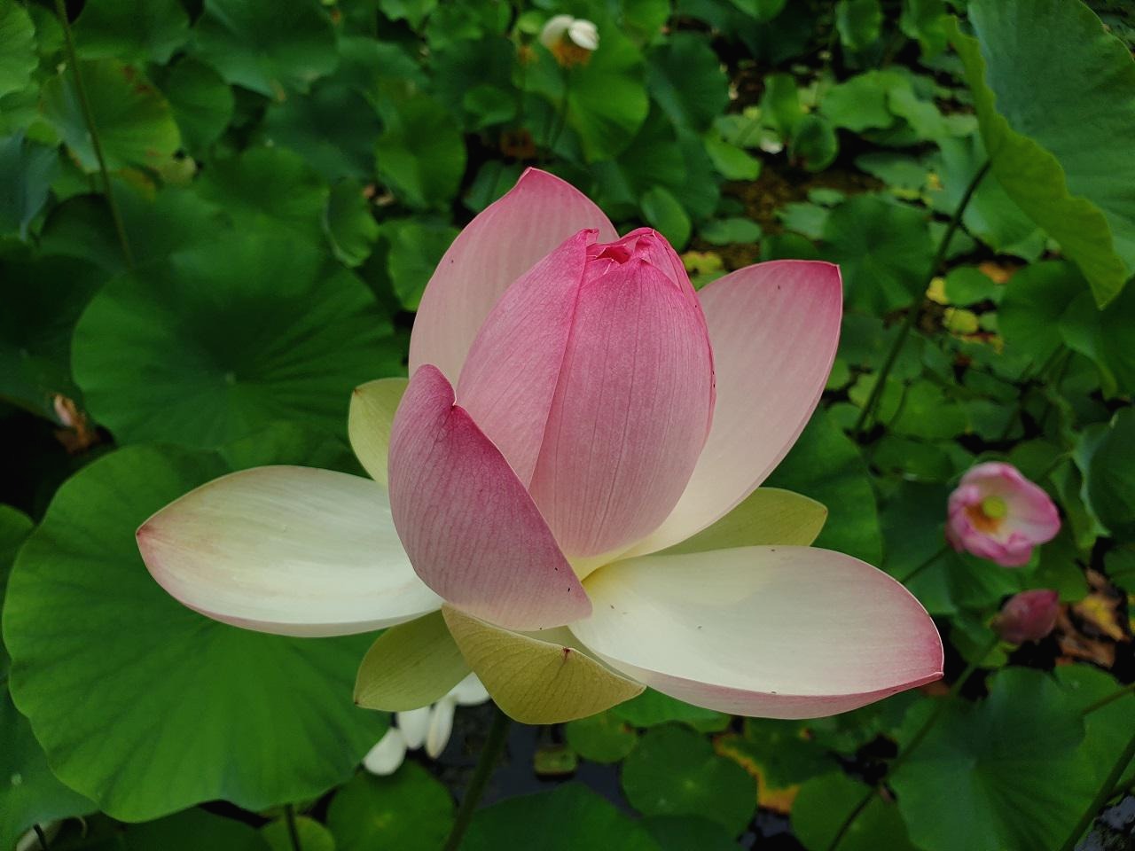 프로필사진
