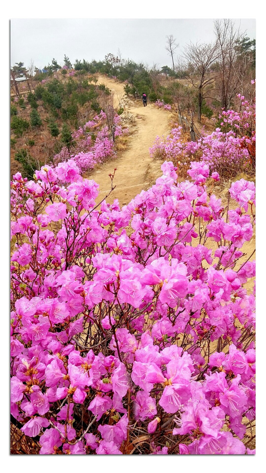 프로필사진