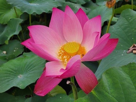 프로필사진