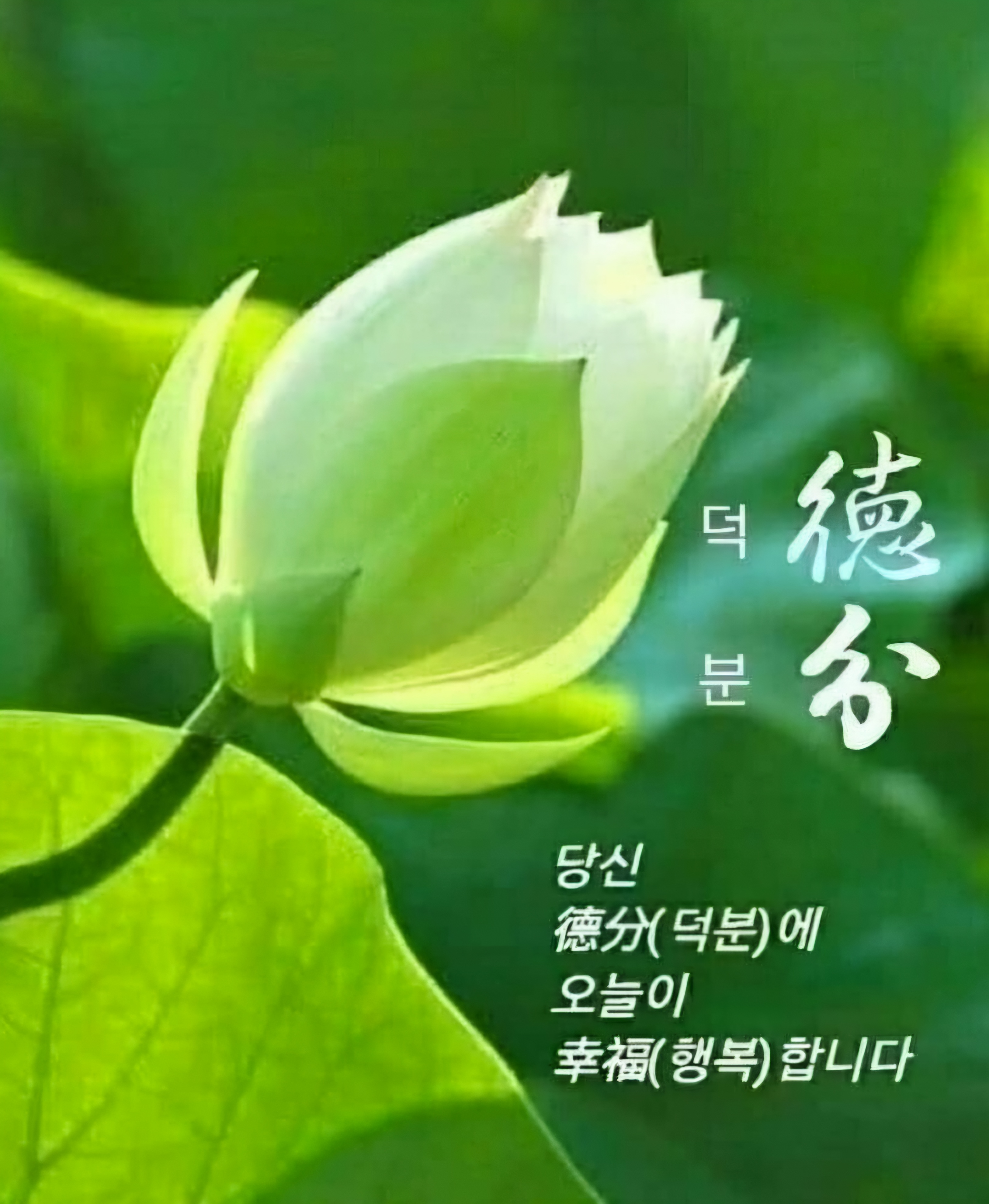 블로그 이미지