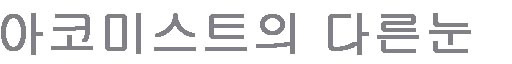 아코미스트의 다른 눈