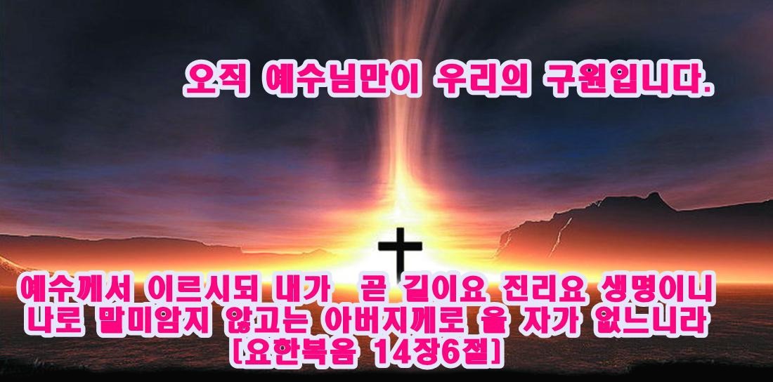 프로필사진