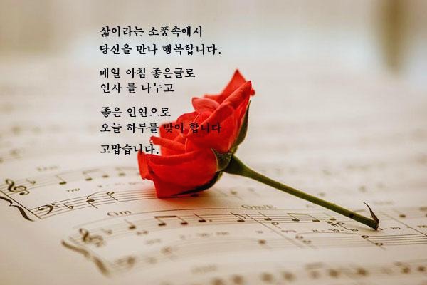 프로필사진