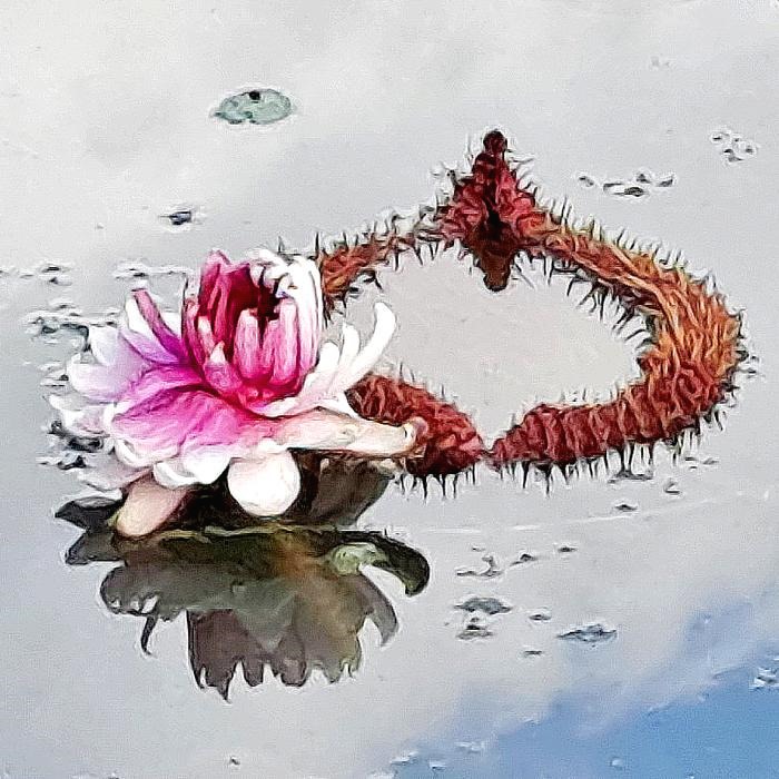 프로필사진