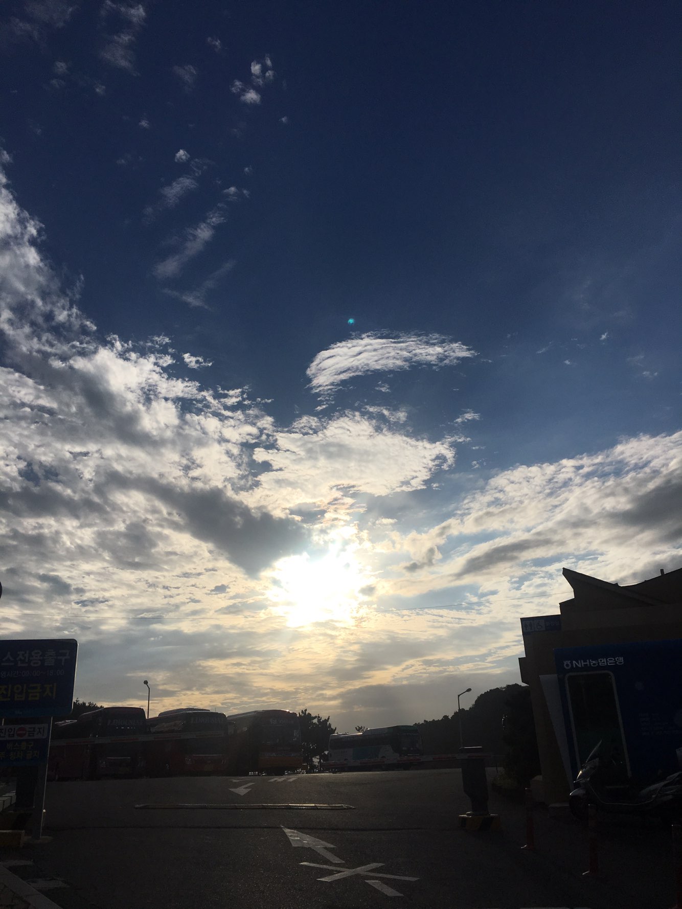 프로필사진