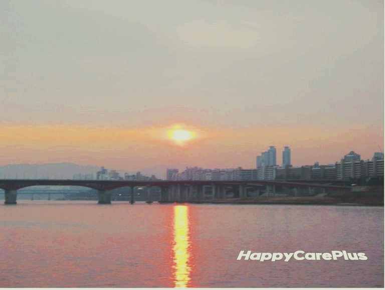 프로필사진