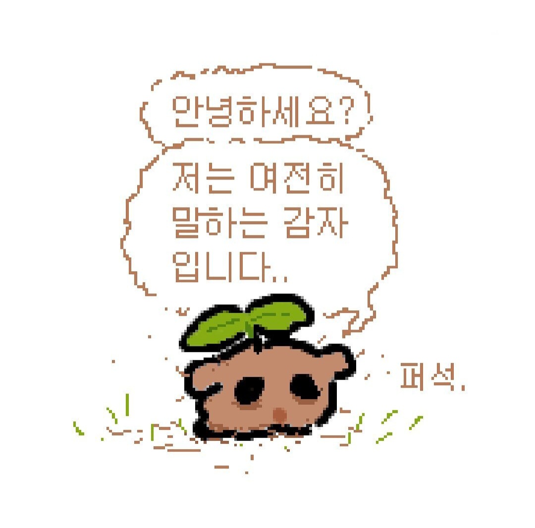 프로필 배경
