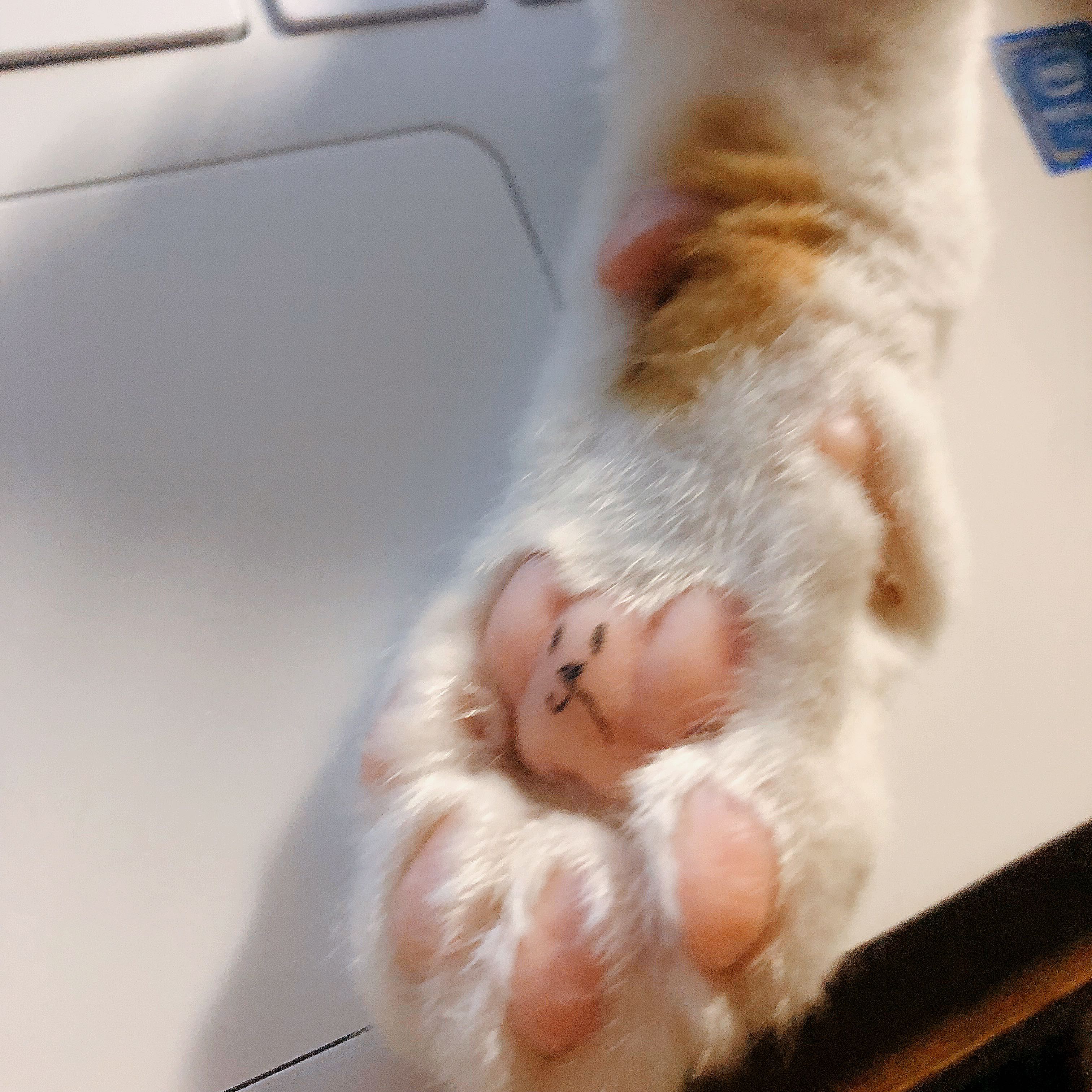 블로그 이미지