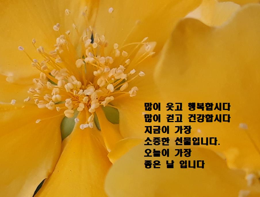 프로필사진