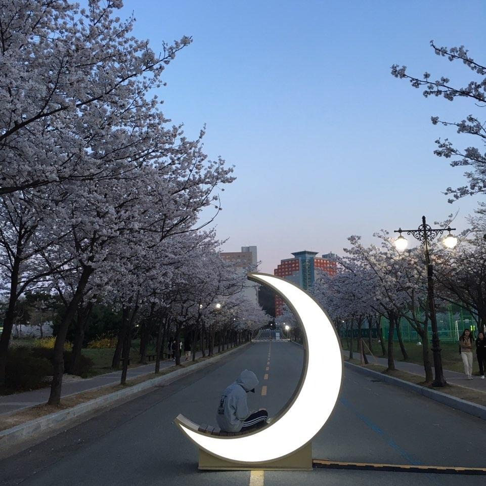 프로필사진