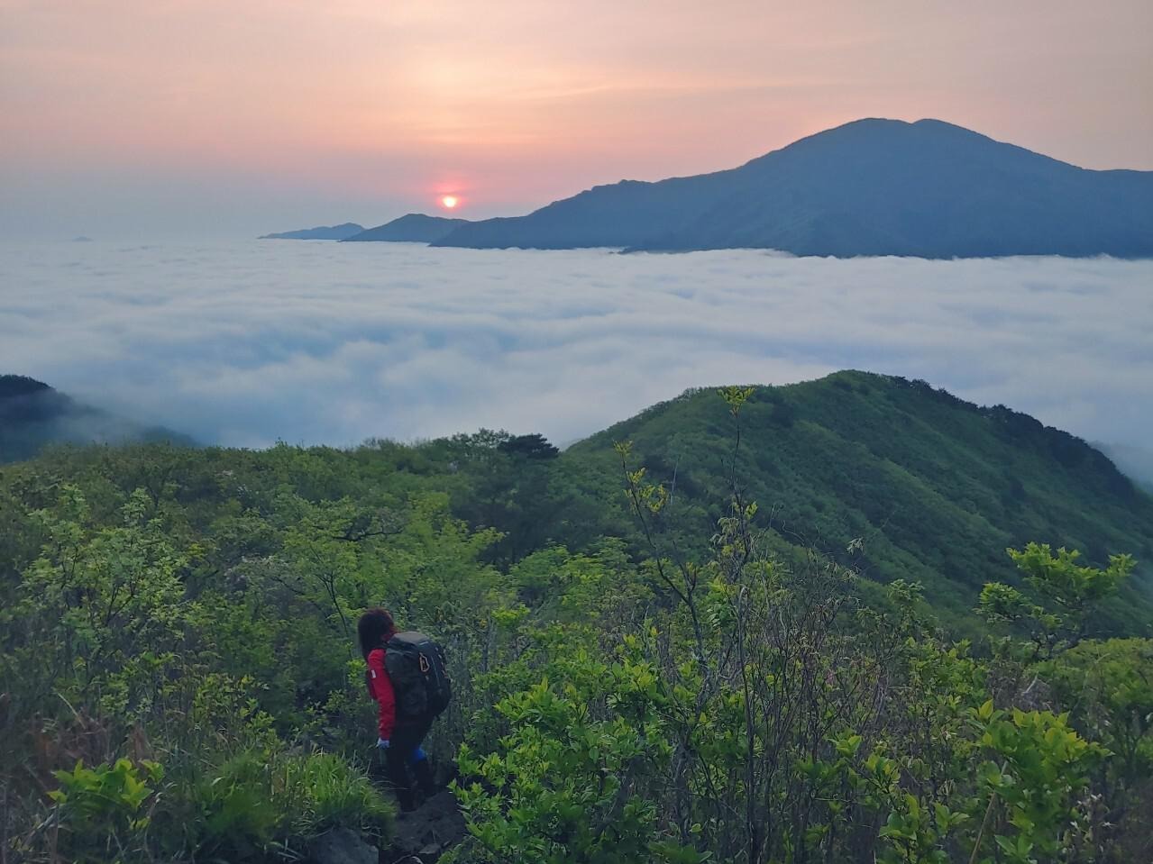 프로필사진