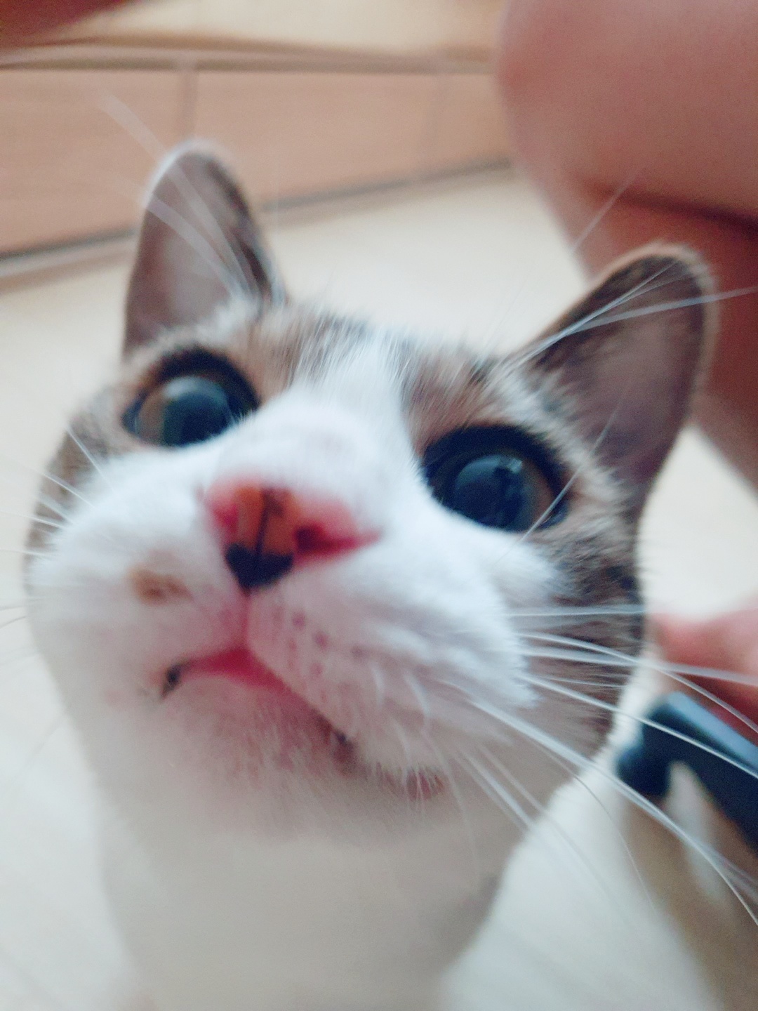 블로그 이미지