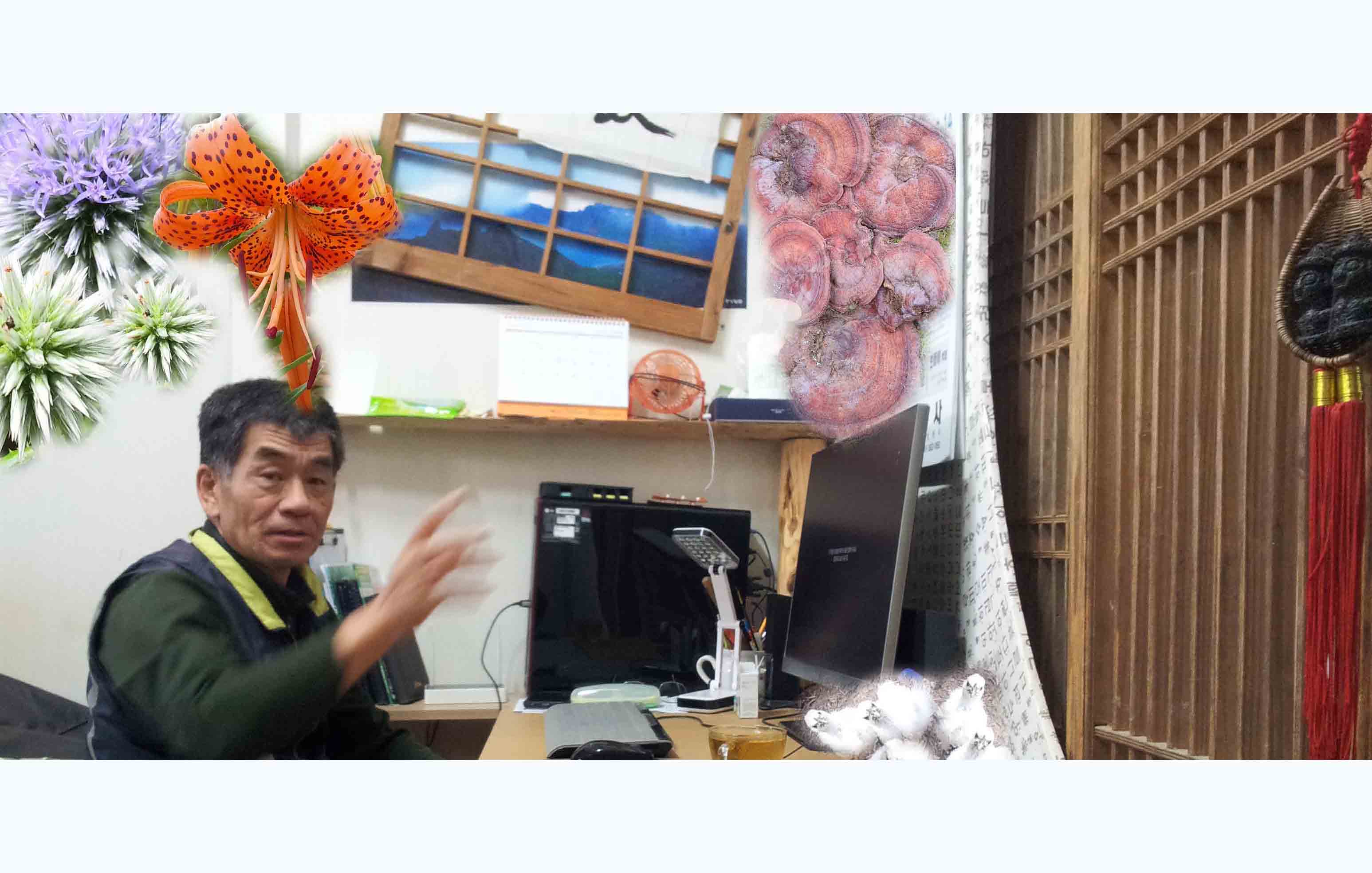프로필사진