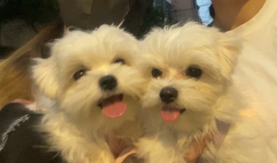 프로필사진