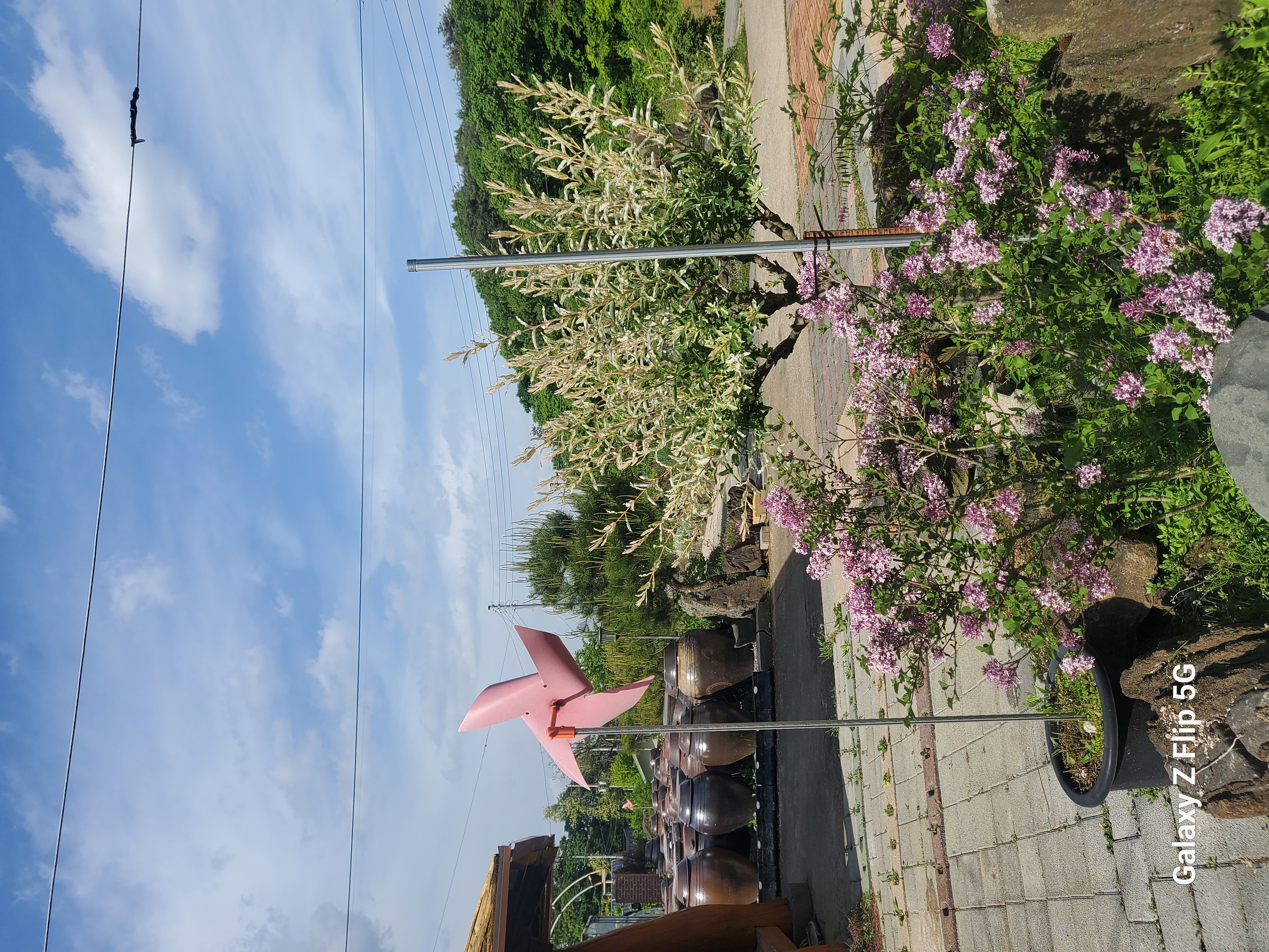 프로필사진