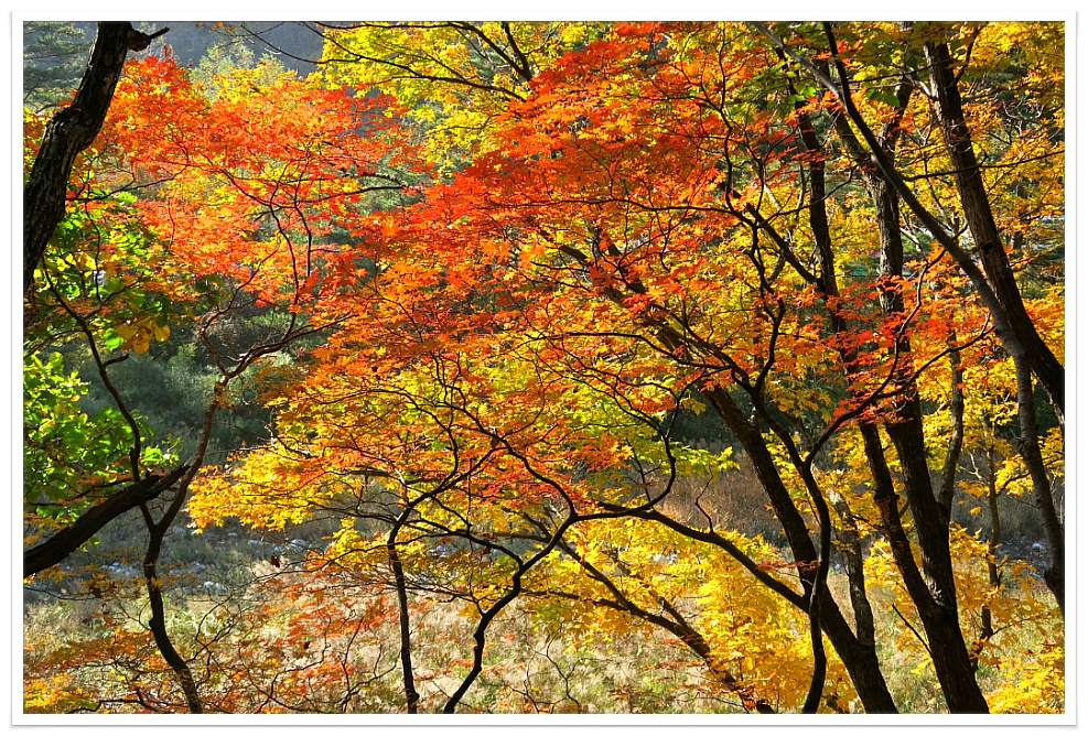 솔비와산행중