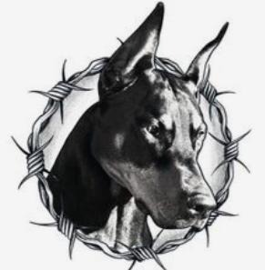 Tistory profile picture for @authority