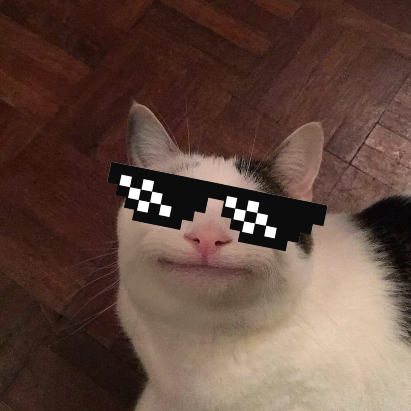 프로필사진
