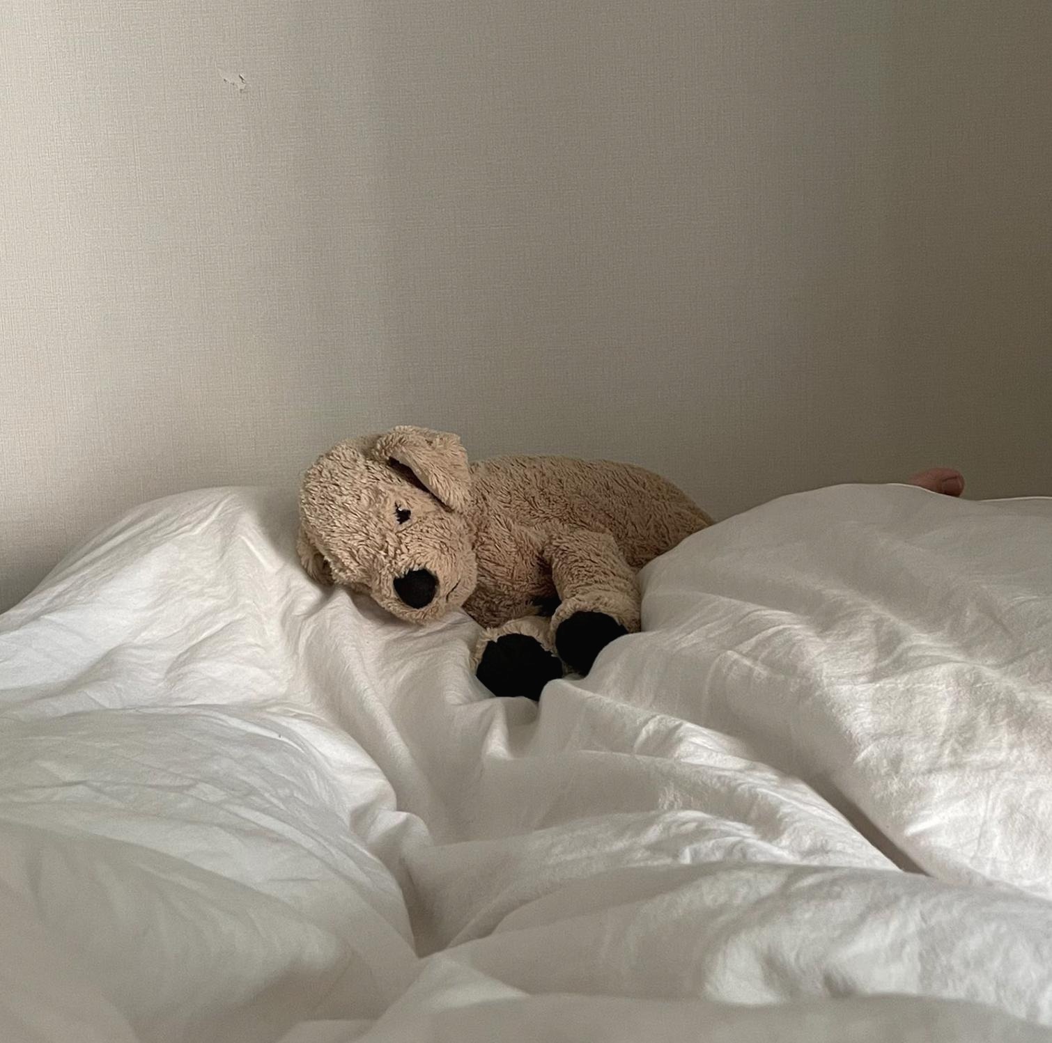 프로필사진