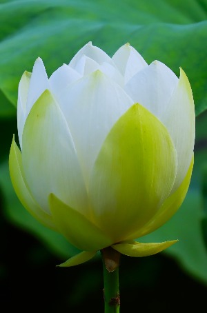 프로필사진