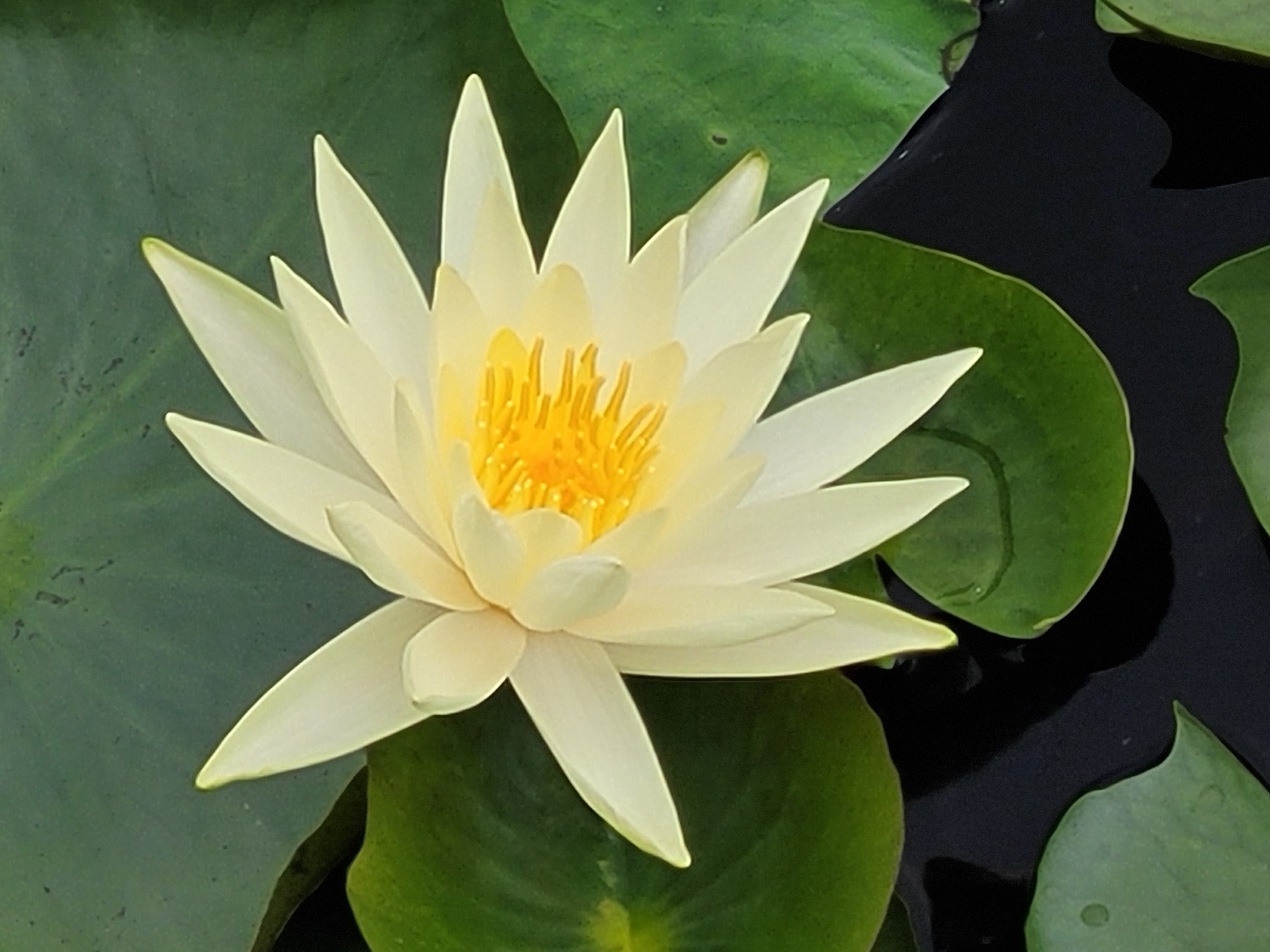 프로필사진