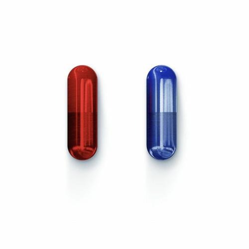 프로필사진