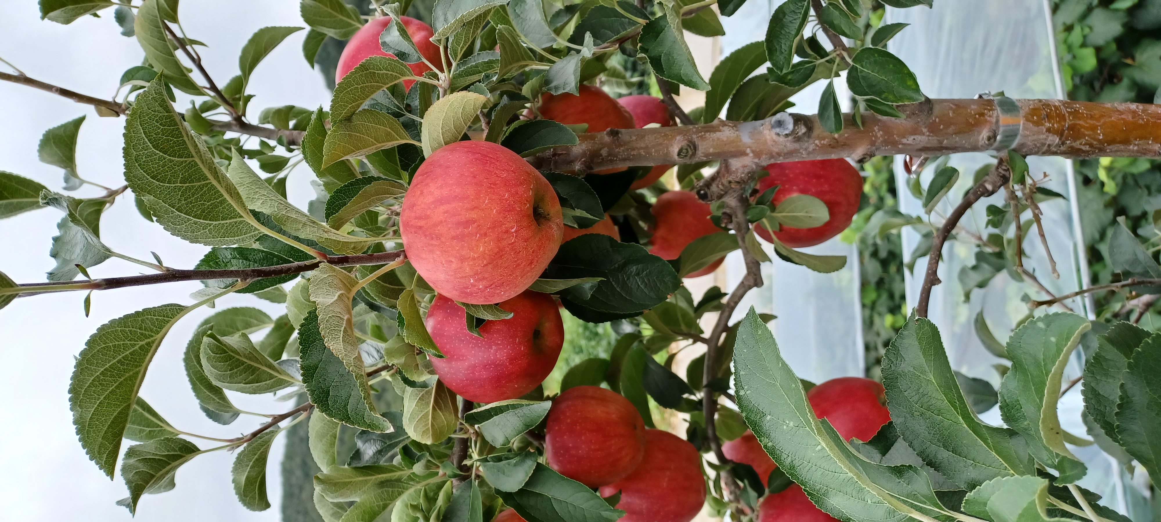 프로필사진
