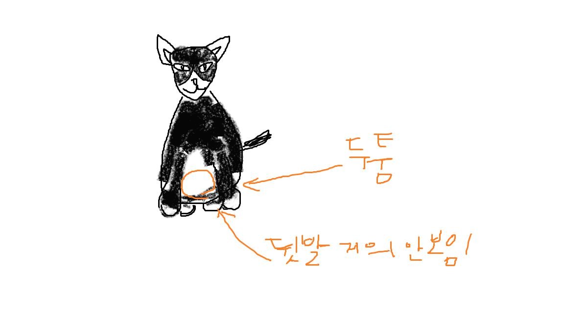 블로그 이미지