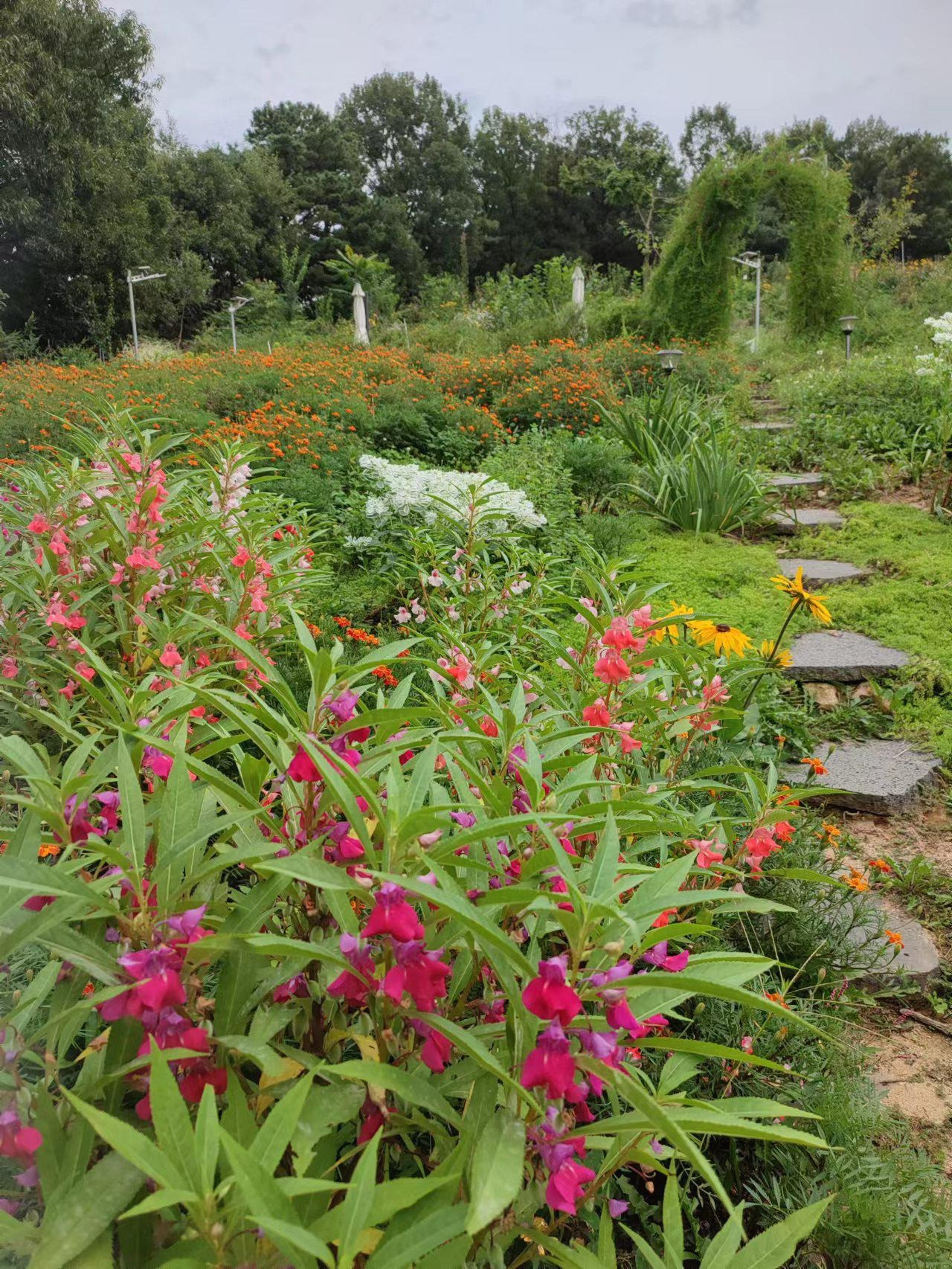 프로필사진