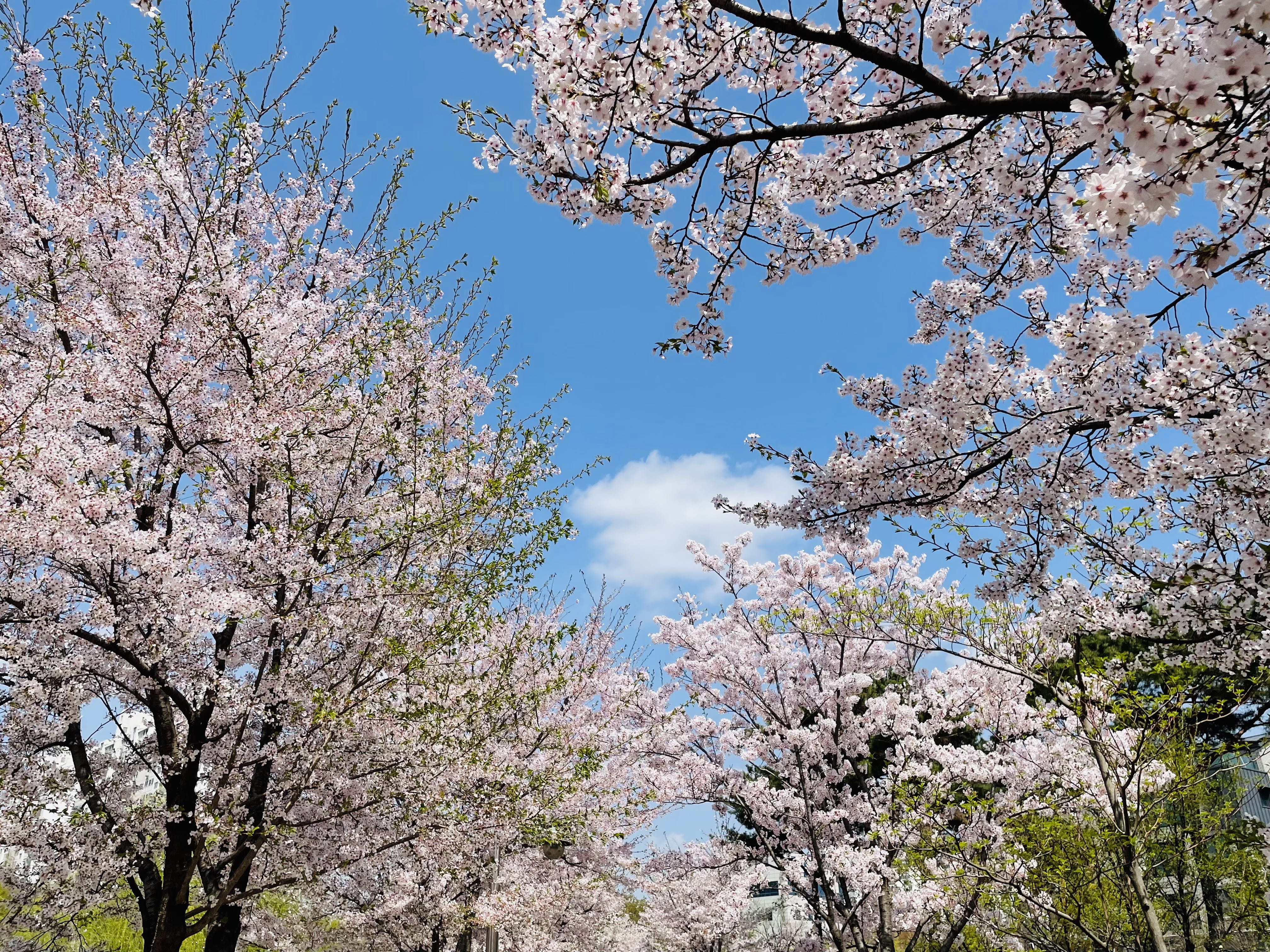 프로필사진