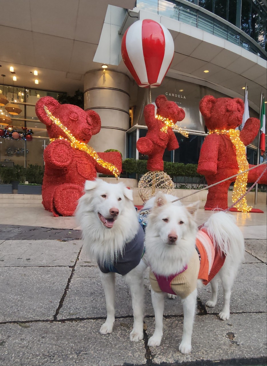 프로필사진