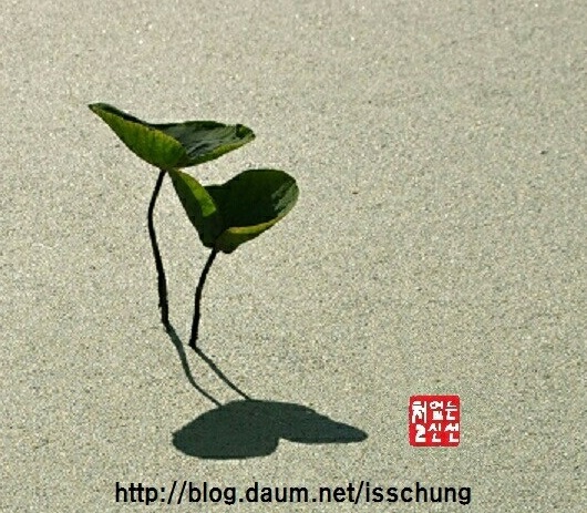 프로필사진
