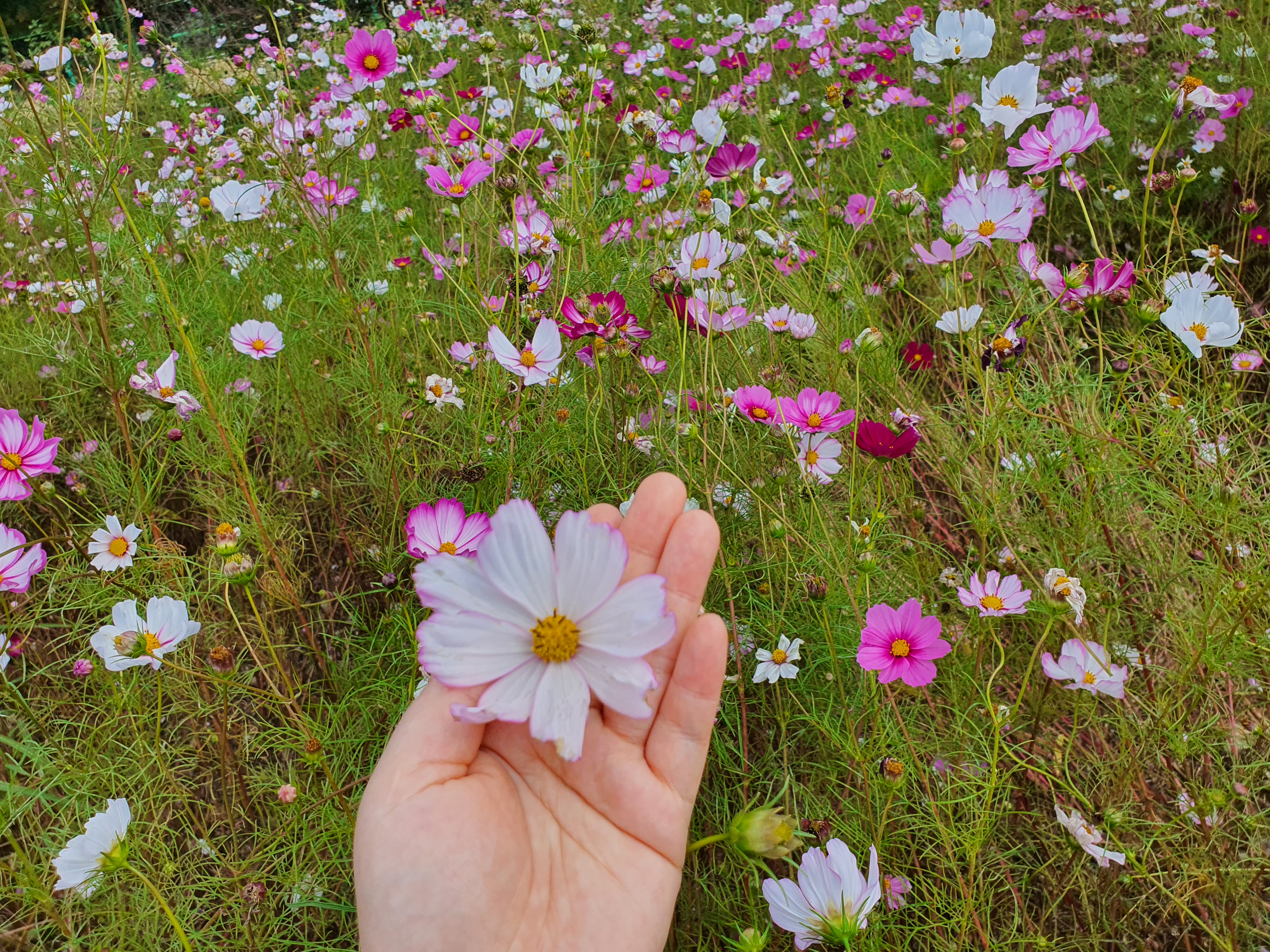 프로필사진