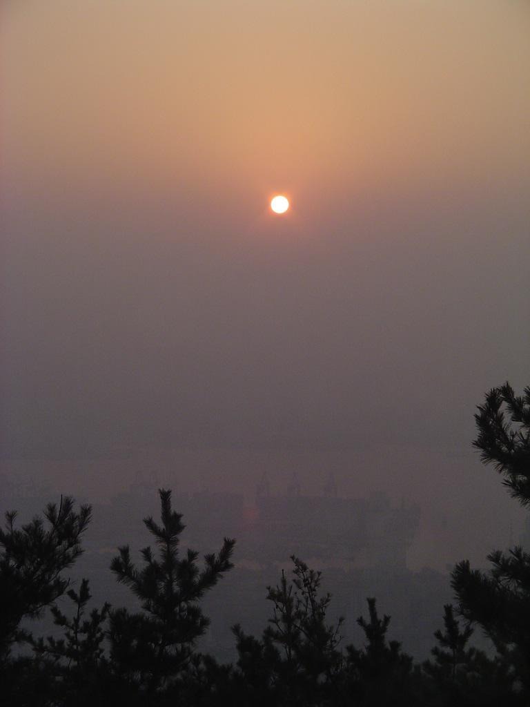 프로필사진