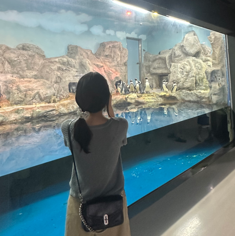 프로필사진