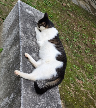 프로필사진
