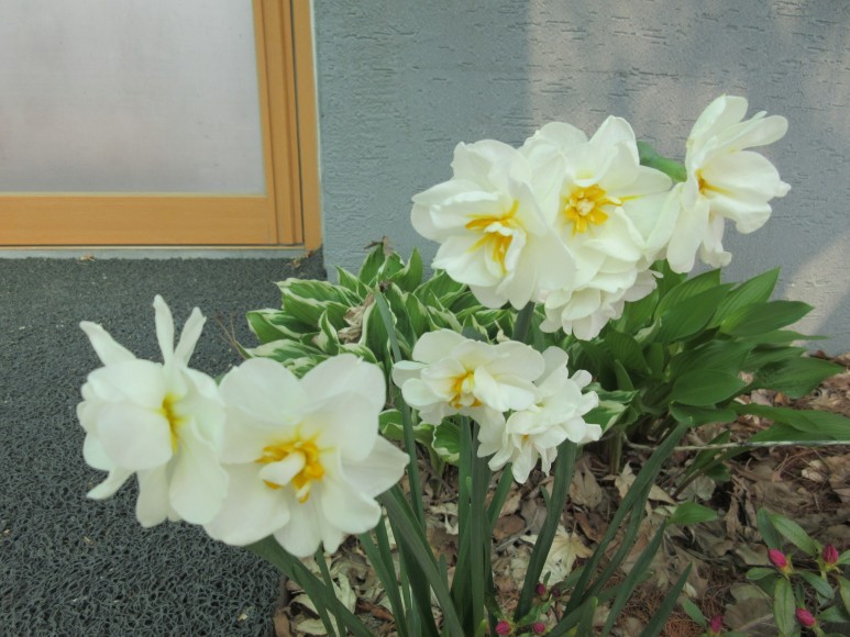 프로필사진