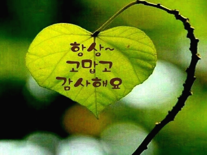 프로필사진