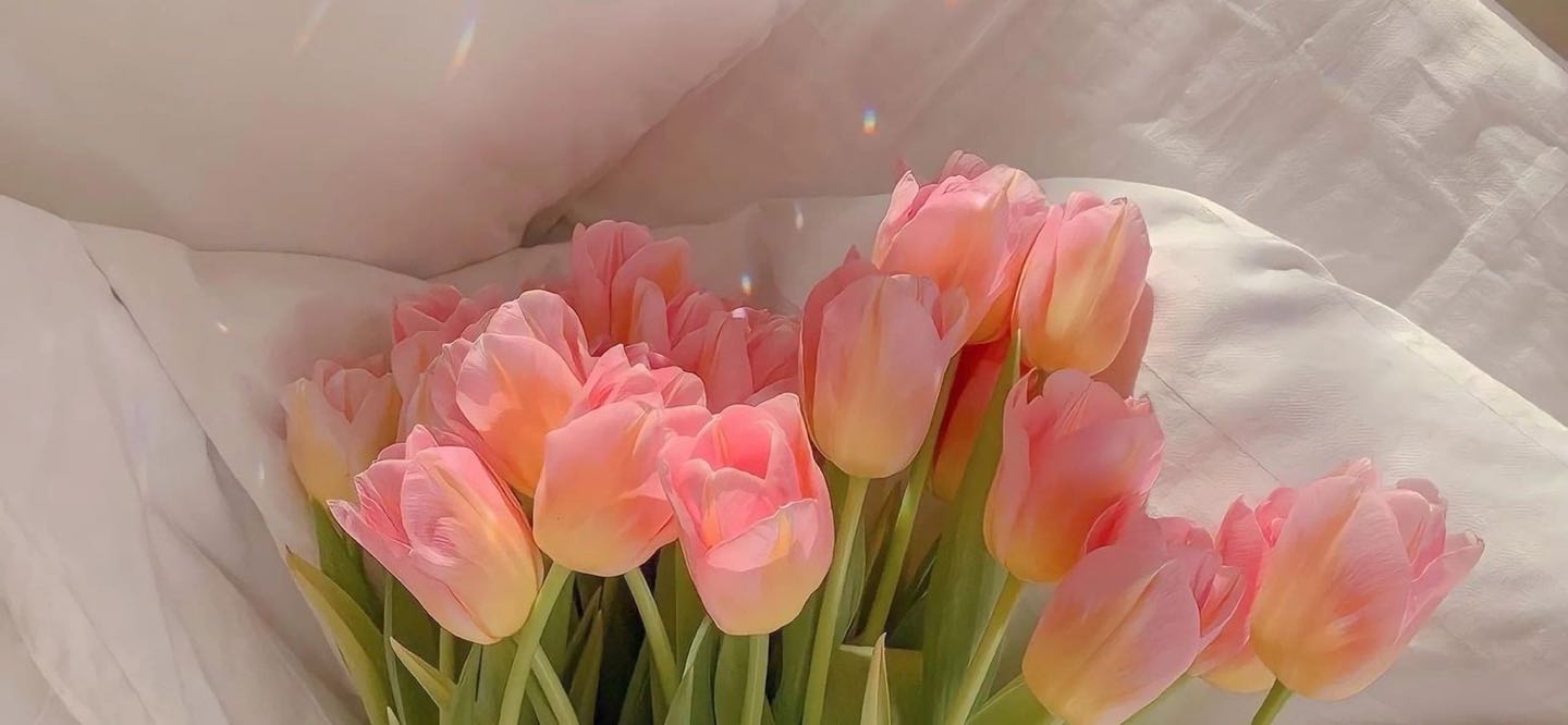 프로필사진