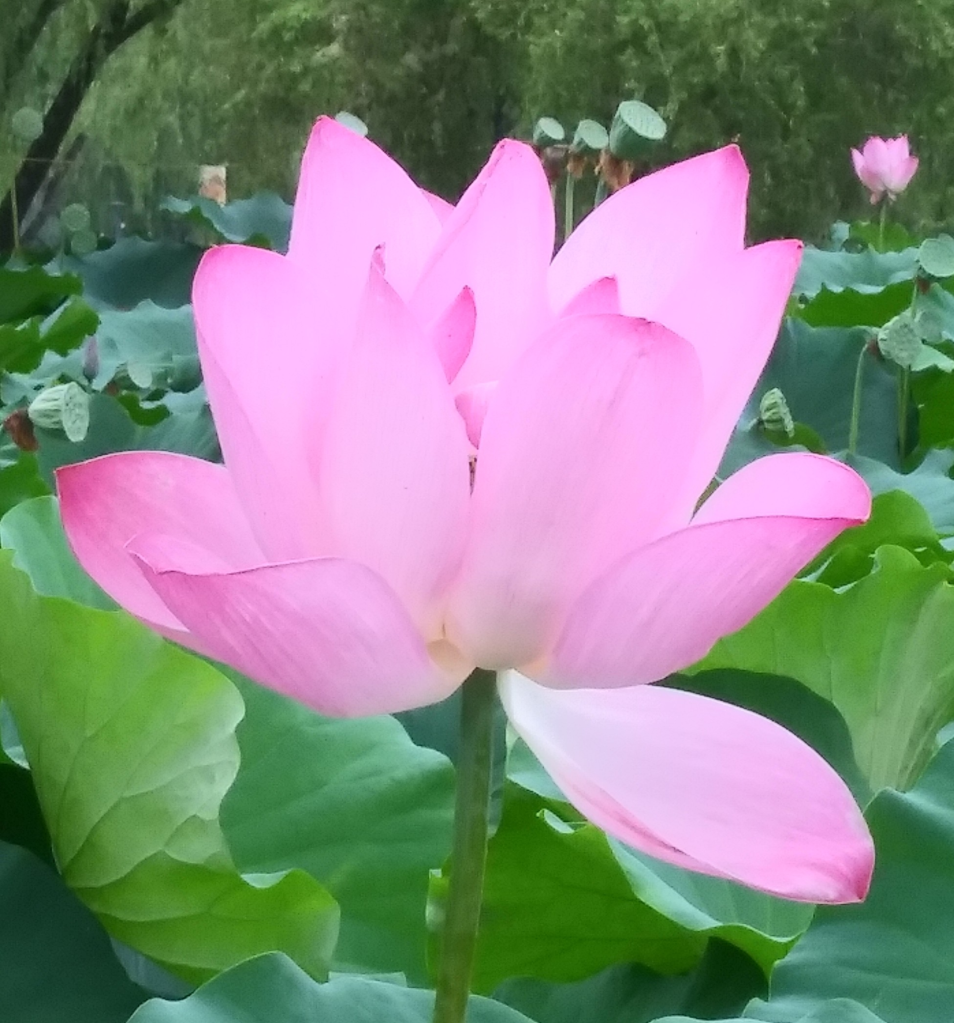 프로필사진