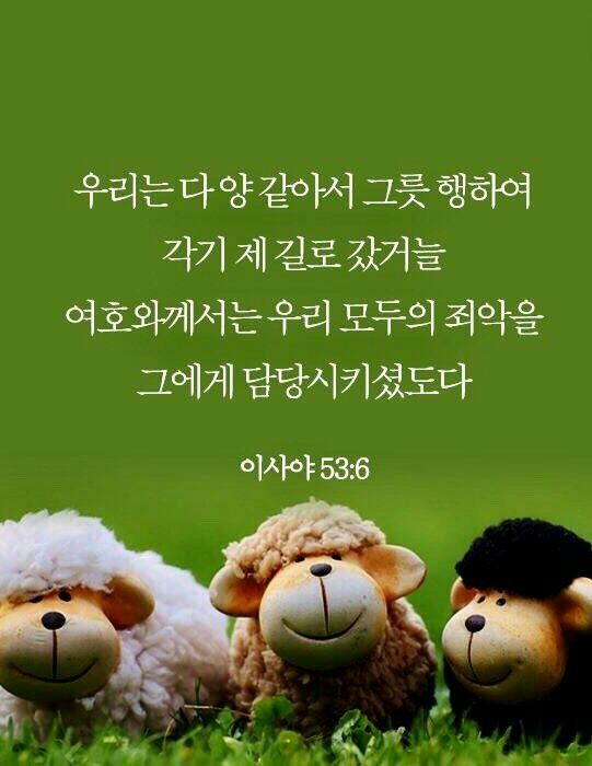 프로필사진