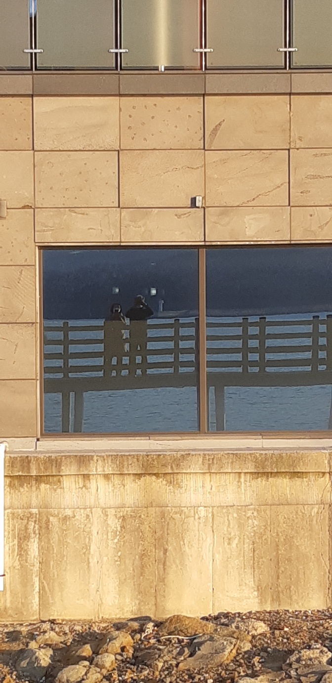 프로필사진