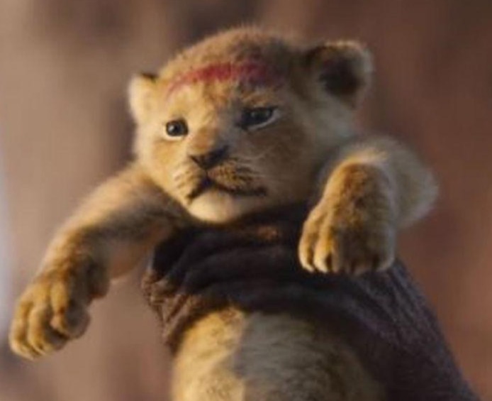 안녕하세요. 주니어 백엔드 개발자 입니다.